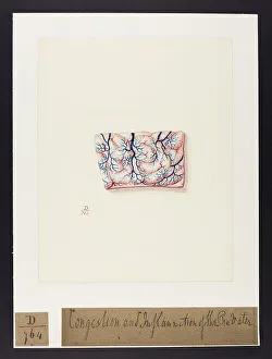 13741688