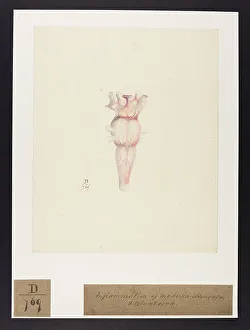13741692