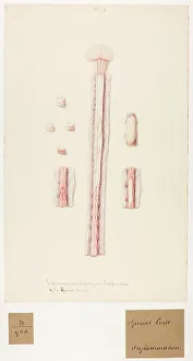 13741706
