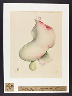 13741756