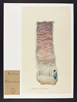 13741793