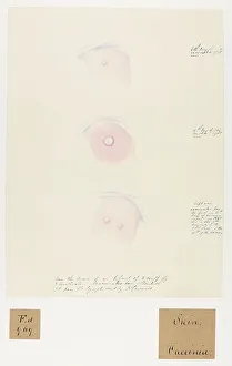 13741943