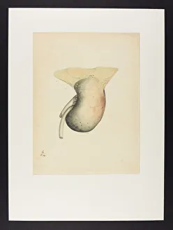 13741978