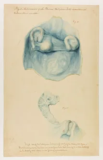 13742013
