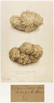 13742031