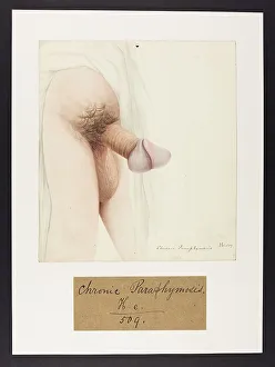 13742066