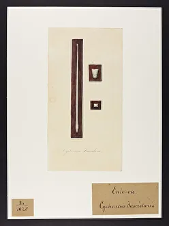 13742102