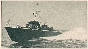 13808669