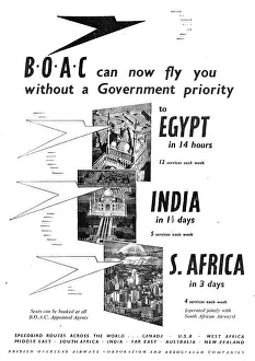 13819496