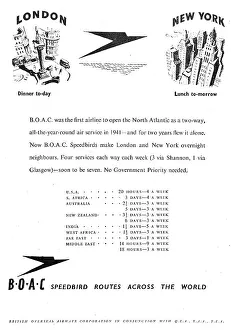 13819499