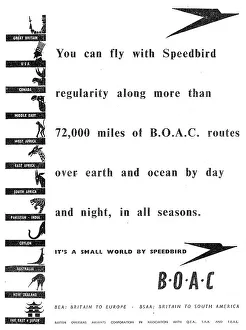 13819513