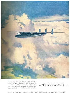 13820822