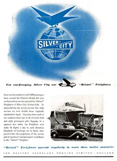 13825077