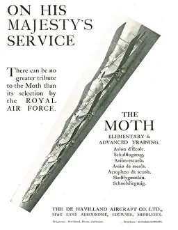 13826481