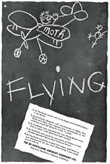 13826621
