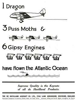 13826658