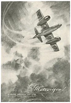 13829561