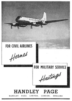 13830016
