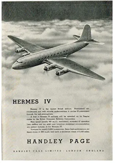 13830024