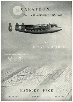 13830060