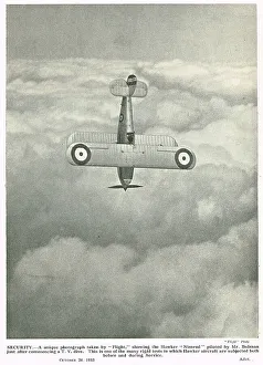 13830393