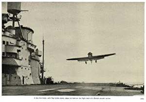13830513