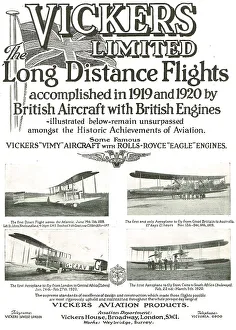 13847459