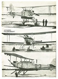 13847524