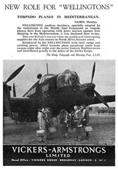 13847647