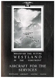 13848342