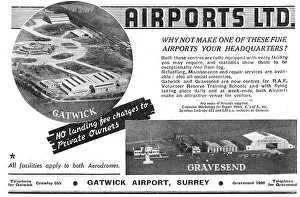 13850116