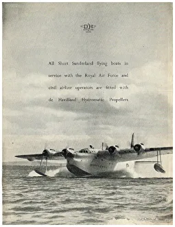 13856761
