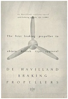 13856781