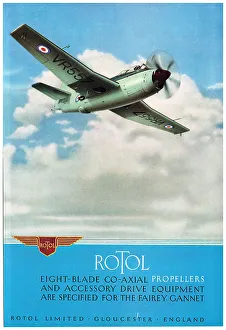 13864019
