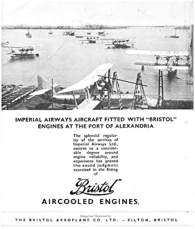13870041