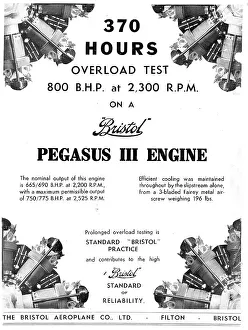 13870058