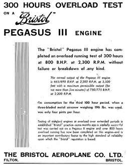 13870068