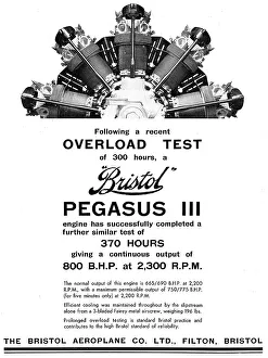 13870071
