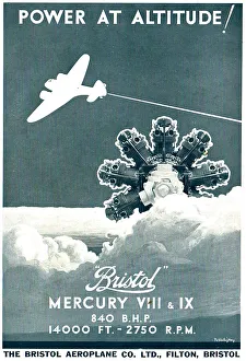 13870081