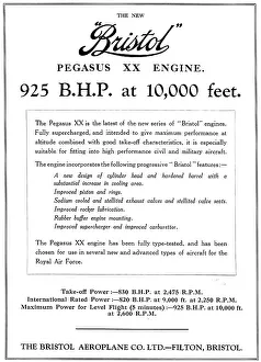 13870121