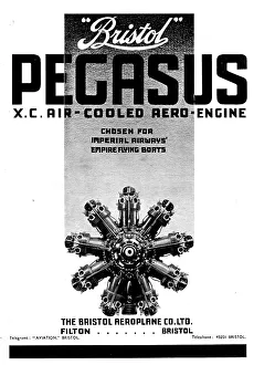 13870133