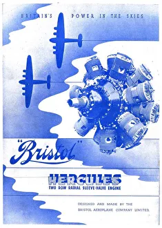 13870407