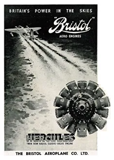 13870413