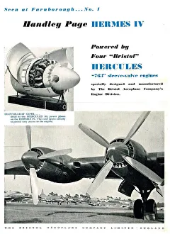 13870613