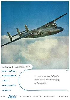 13870646
