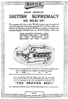 13872074