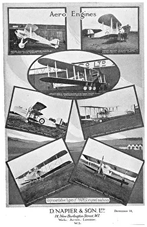 Images Dated 5th October 2012: 13872159