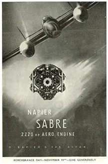 13872568