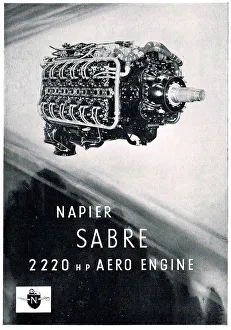 13872571