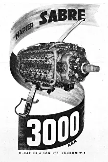 13872592